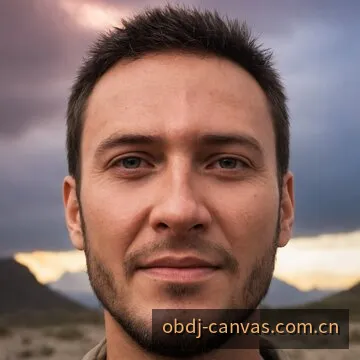 OB电竞职业选手个人档案头像